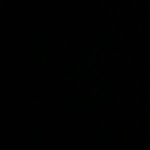 Meet your Posher, Kaydence